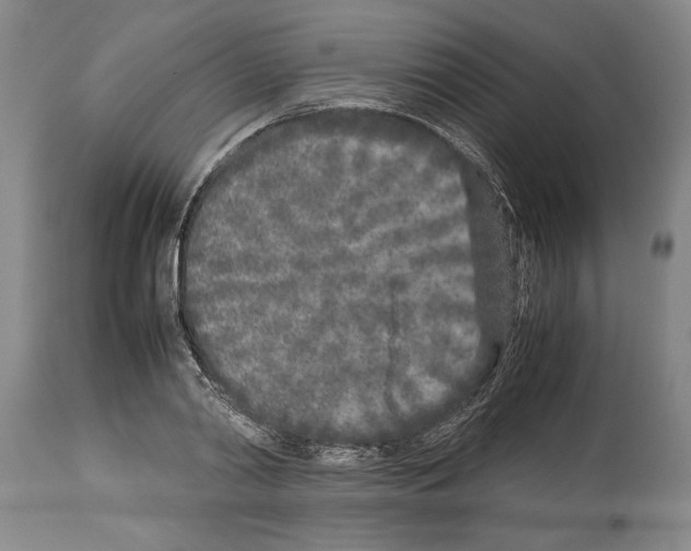 X0000113930790200911061218