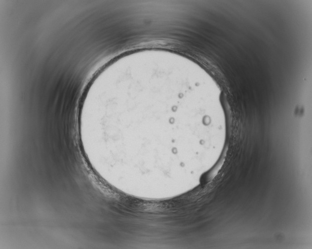 X0000113930792200911061218