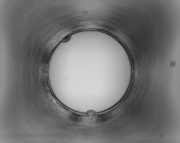 X0000113930793200911061218