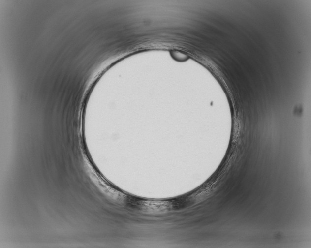 X0000113930795200911061218