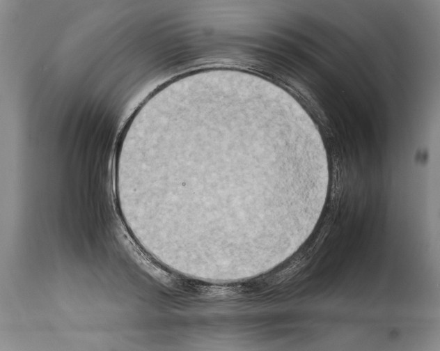X0000113930796200911061218