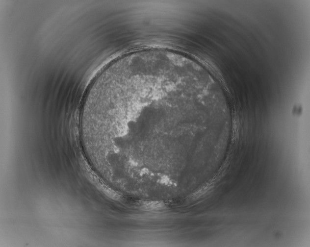 X0000113930798200911061218