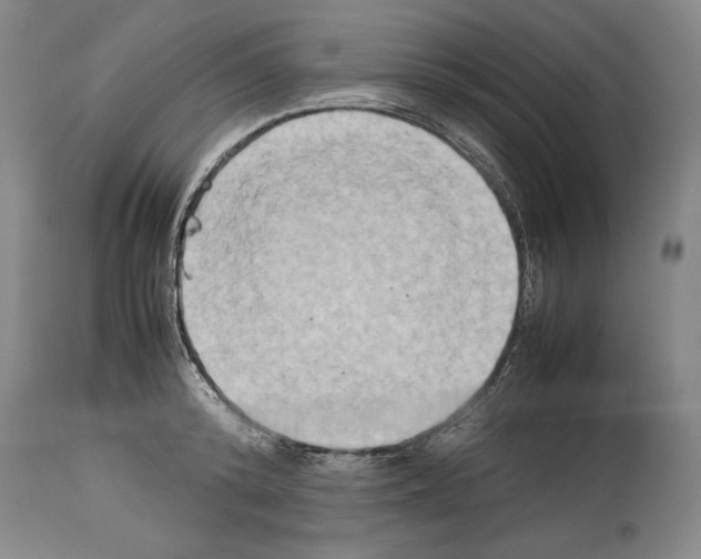 X0000113930800200911061218