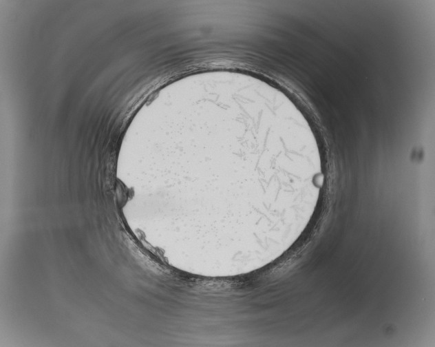X0000113930801200911061218