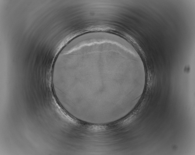 X0000113930802200911061218