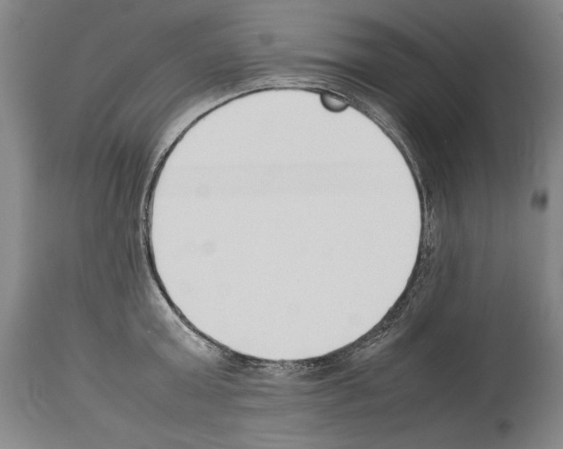 X0000113930803200911061218