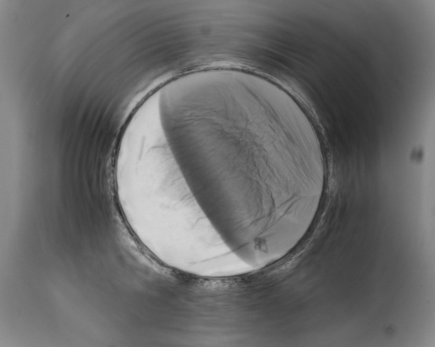 X0000113930806200911061218