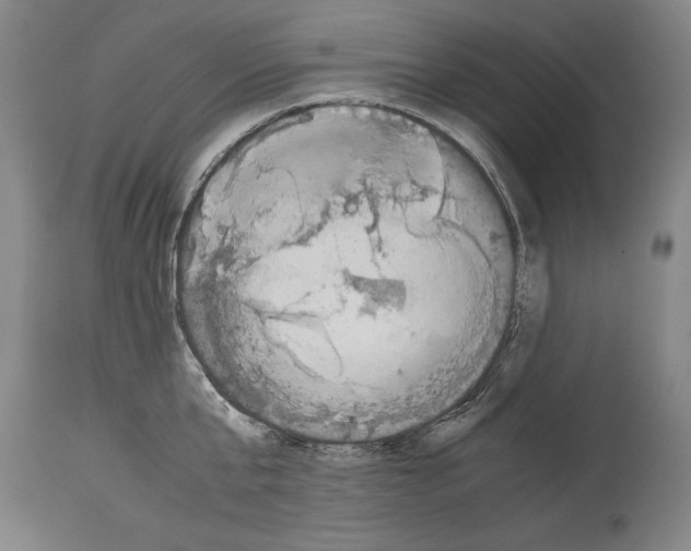 X0000113930807200911061218