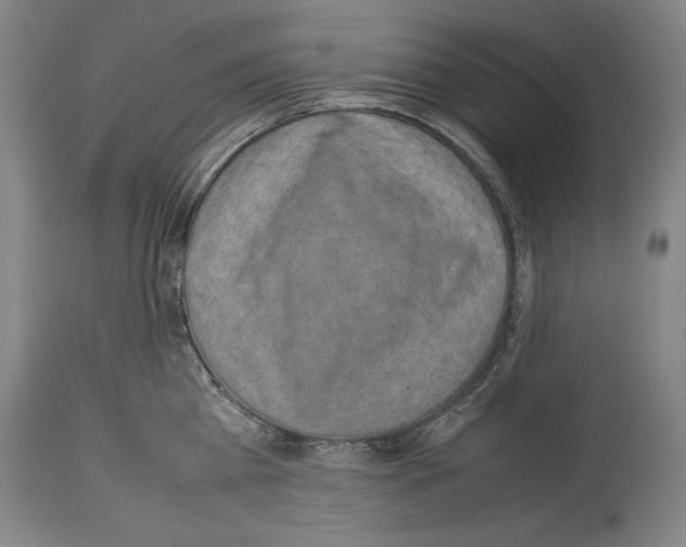 X0000113930809200911061217