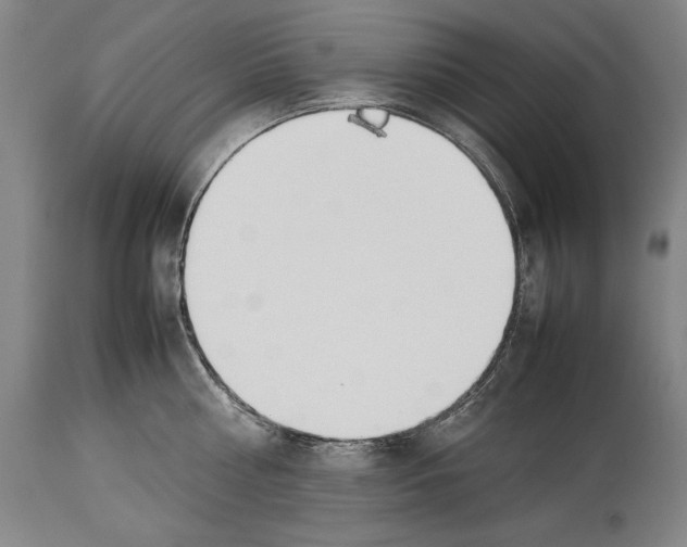 X0000113930810200911061217