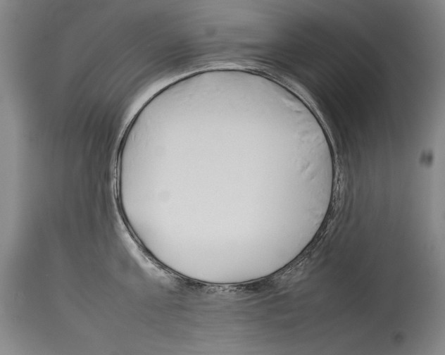 X0000113930811200911061217