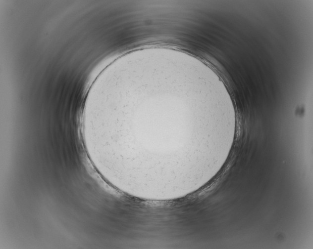 X0000113930812200911061217