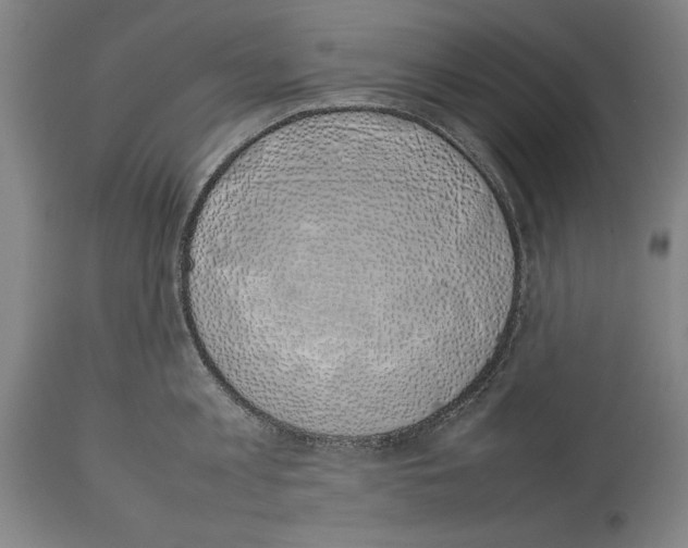 X0000113930813200911061217