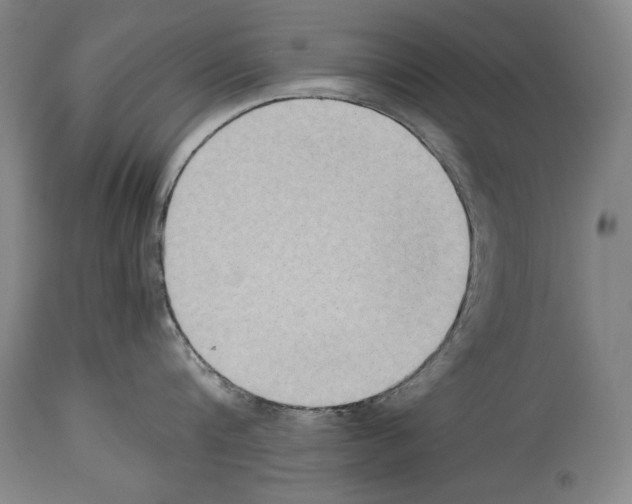 X0000113930816200911061217