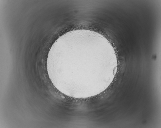 X0000113930817200911061217