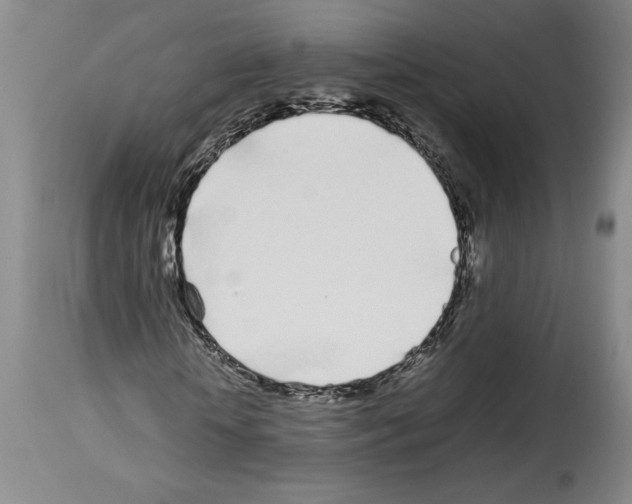 X0000113930818200911061217