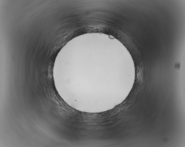 X0000113930819200911061217