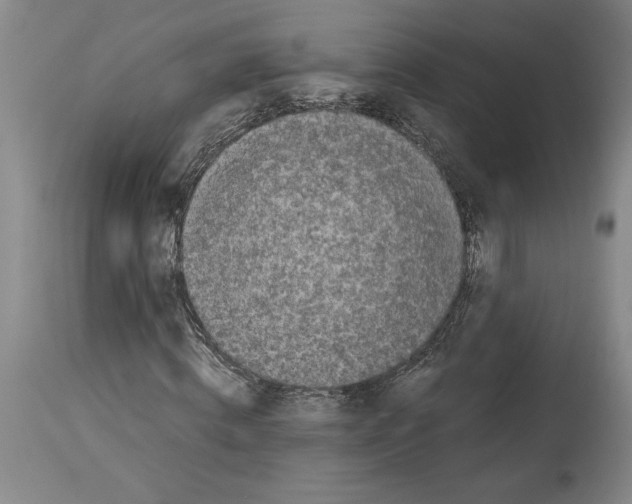 X0000113930820200911061217