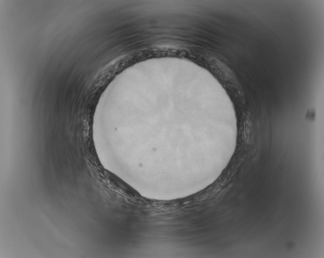 X0000113930821200911061217