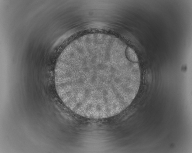 X0000113930822200911061217