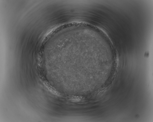 X0000113930823200911061217