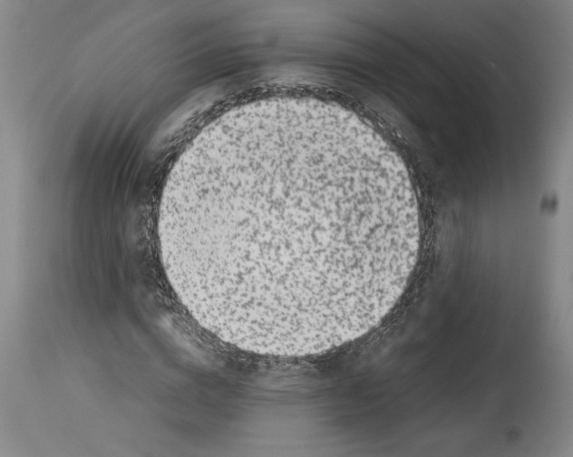 X0000113930824200911061217