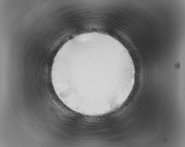 X0000113930825200911061217