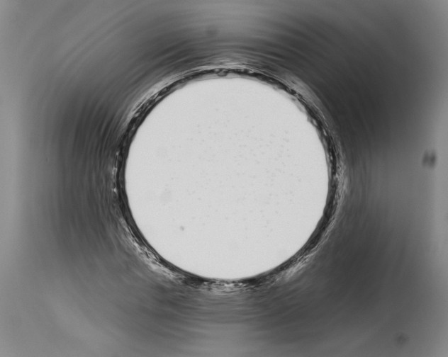 X0000113930826200911061217