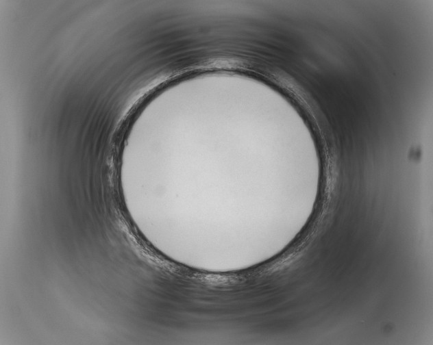 X0000113930827200911061217
