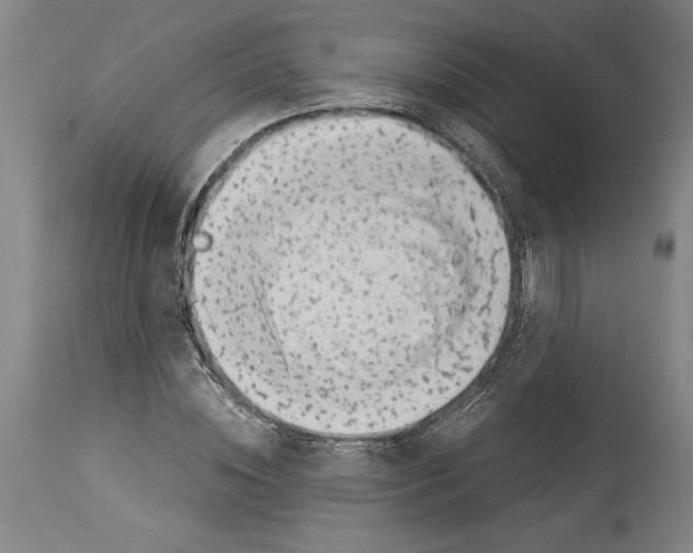 X0000113930828200911061217
