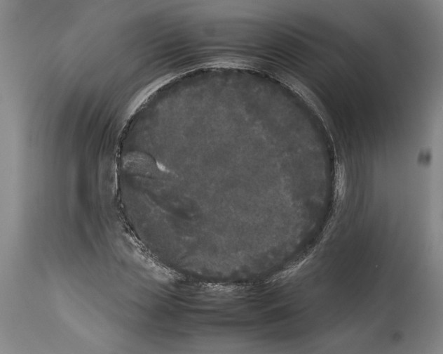 X0000113930829200911061217