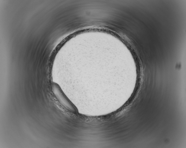 X0000113930830200911061217