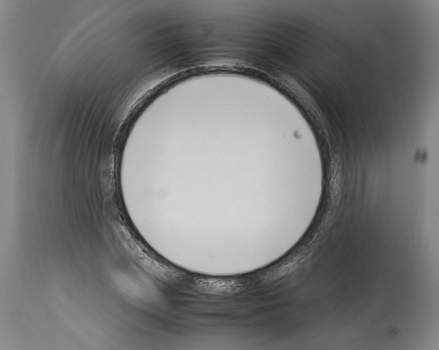 X0000113930831200911061217