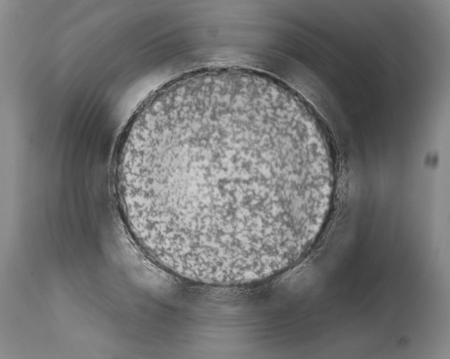 X0000113930832200911061217