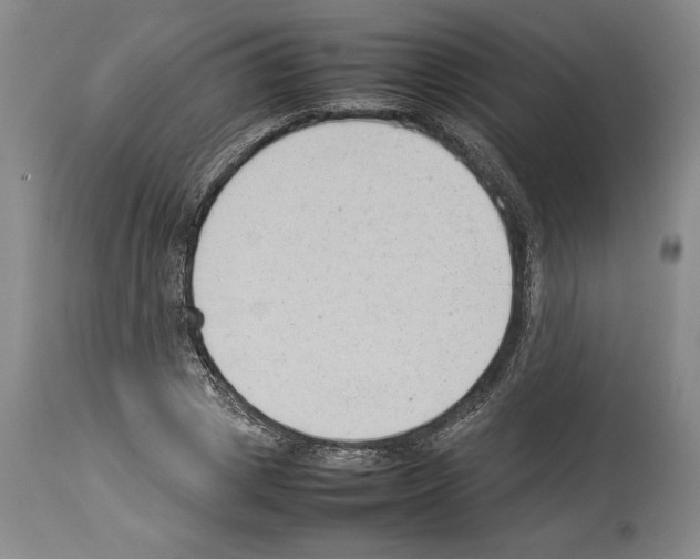 X0000113930833200911061217