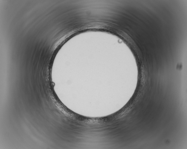 X0000113930834200911061217
