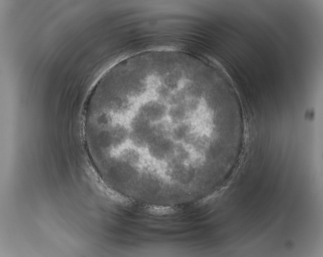 X0000113930835200911061217