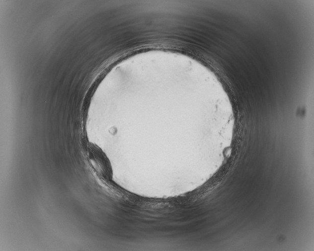 X0000113930837200911061217