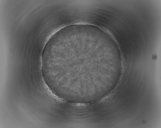 X0000113930839200911061217