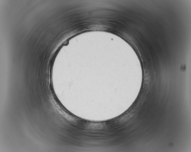 X0000113930843200911061217
