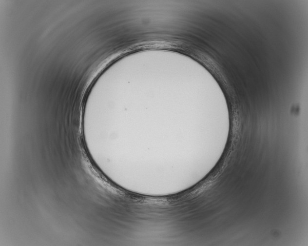 X0000113930844200911061217