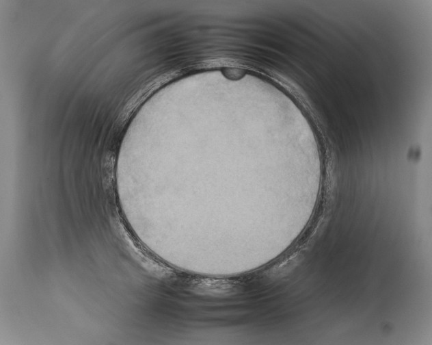 X0000113930849200911061217