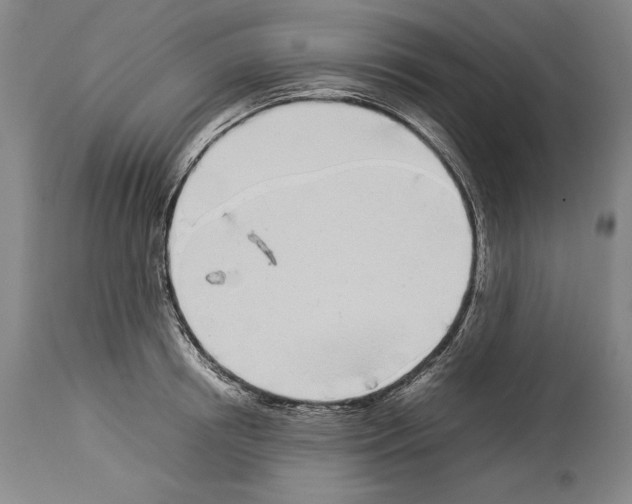X0000113930850200911061217