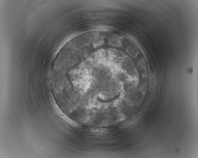 X0000113930851200911061217