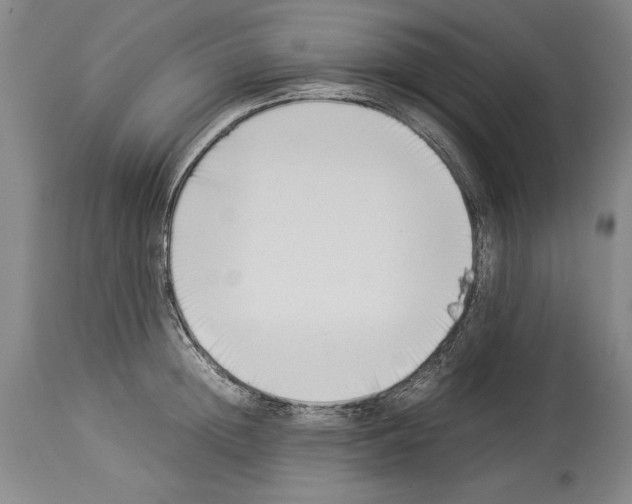 X0000113930852200911061217