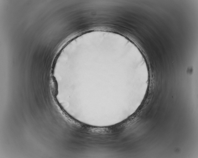 X0000113930853200911061217