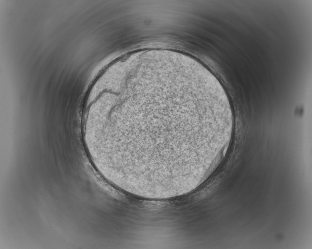 X0000113930854200911061217