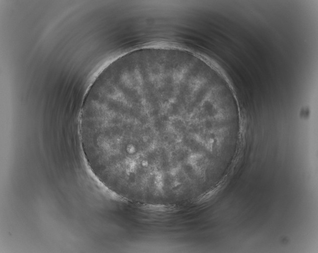 X0000113930855200911061217