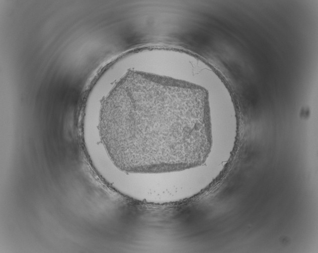 X0000113930856200911061217