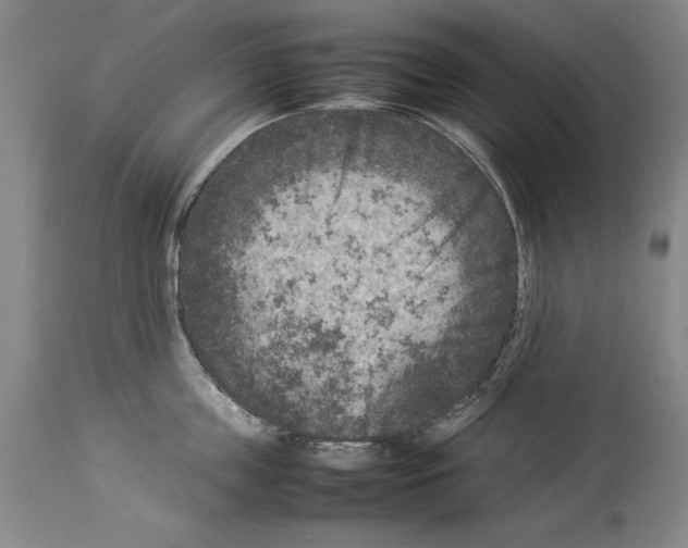 X0000113930859200911061217